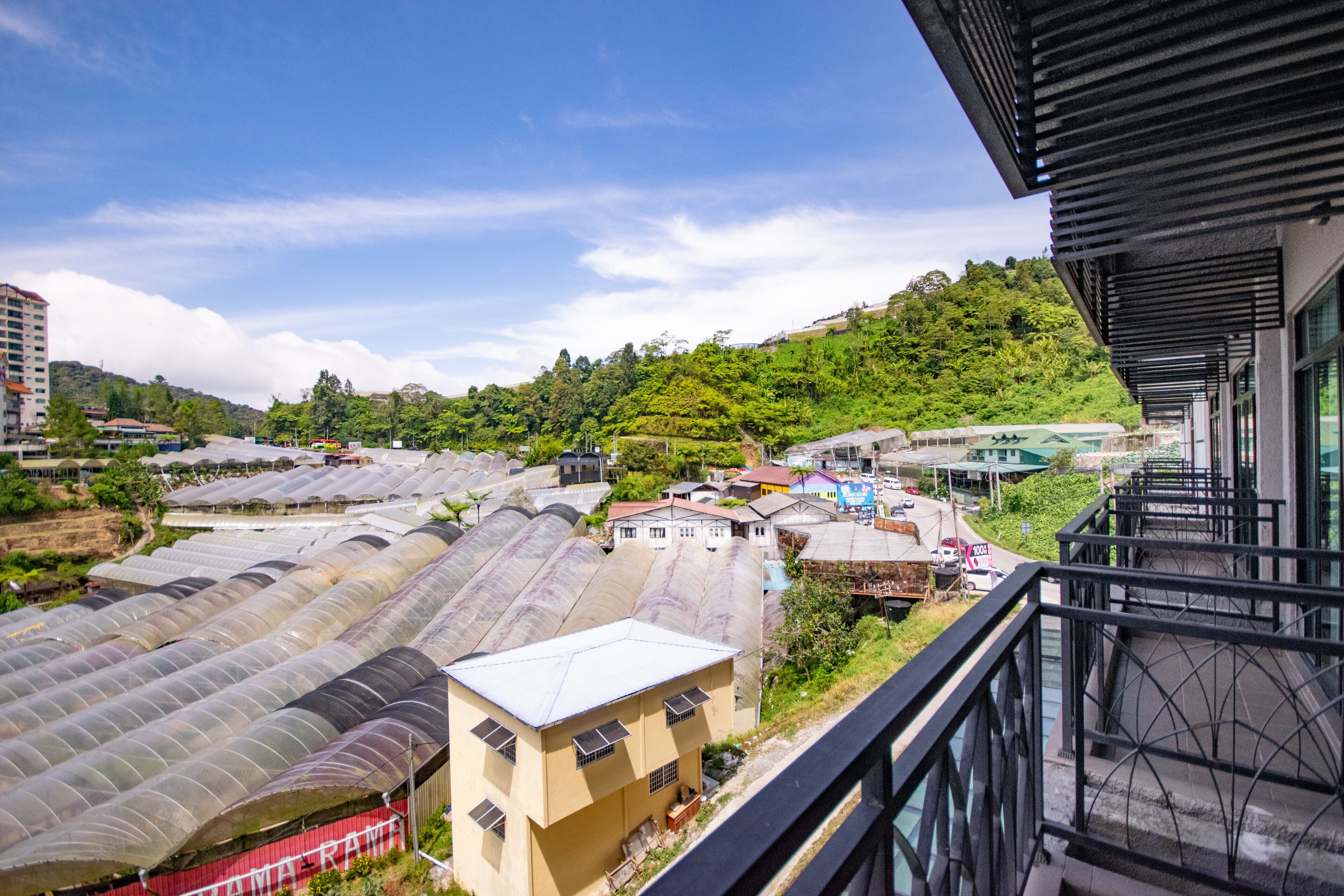 家庭套房 | 客房景观