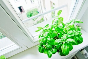 Apartment (Muelhauser Strasse) | View from room