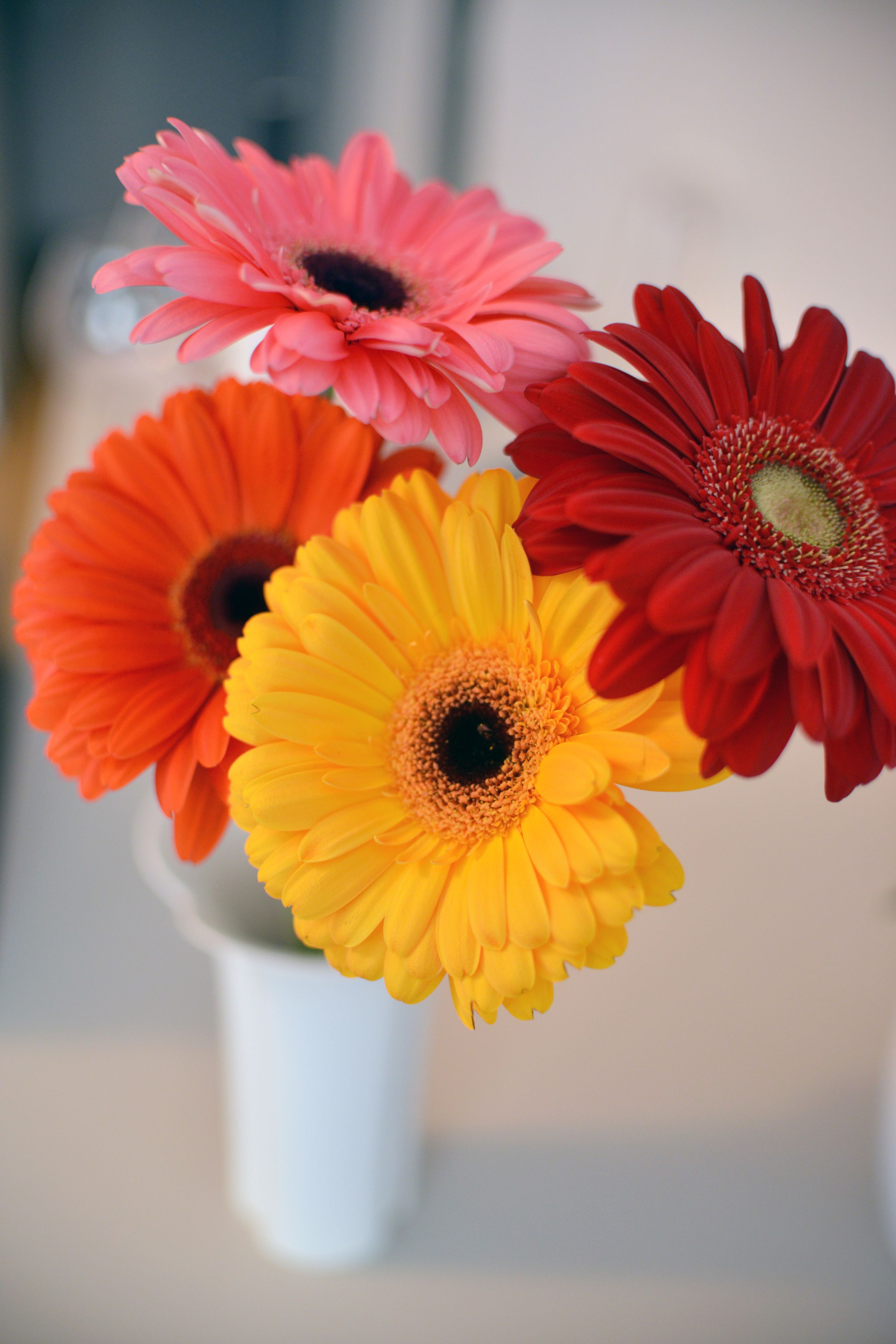 triple room | room amenity