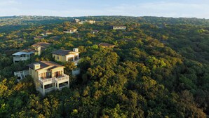 Zona residencial con varias casas rodeadas de un bosque denso.