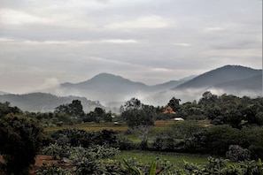 إطلالة الغرفة