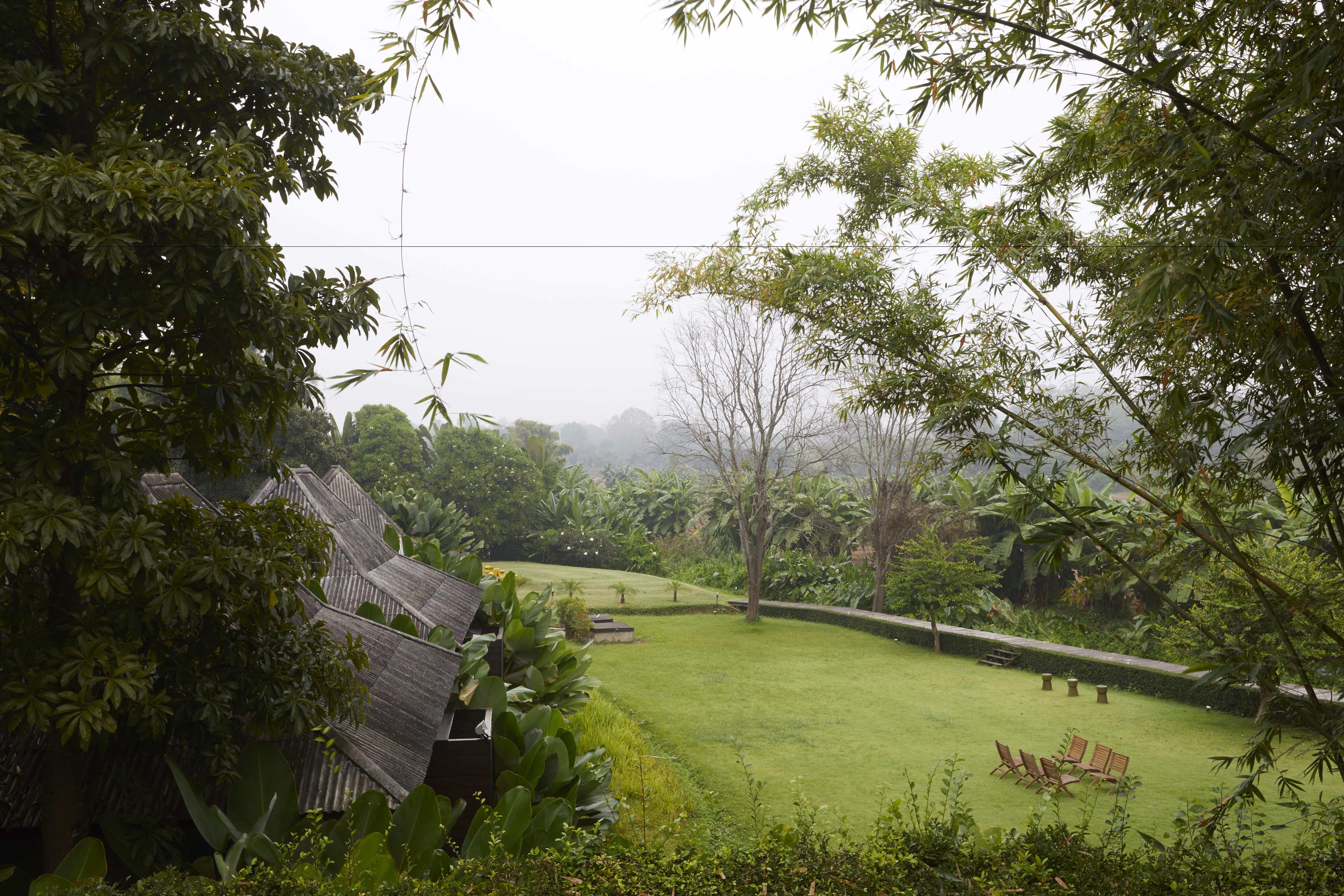 A lush garden with a lawn, wooden structures, and a seating area.