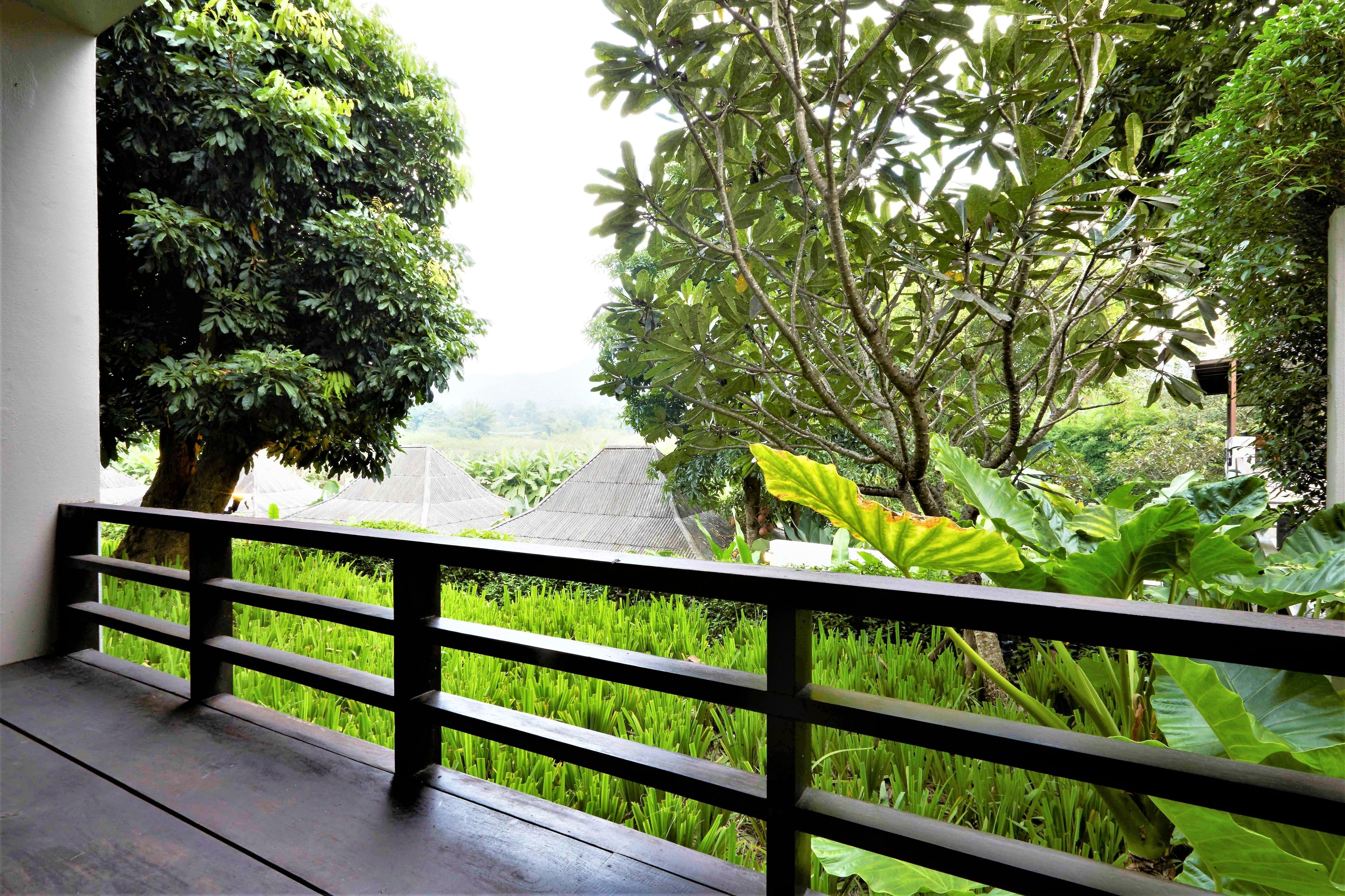 A balcony with a wooden railing overlooking a lush garden with various plants and trees.