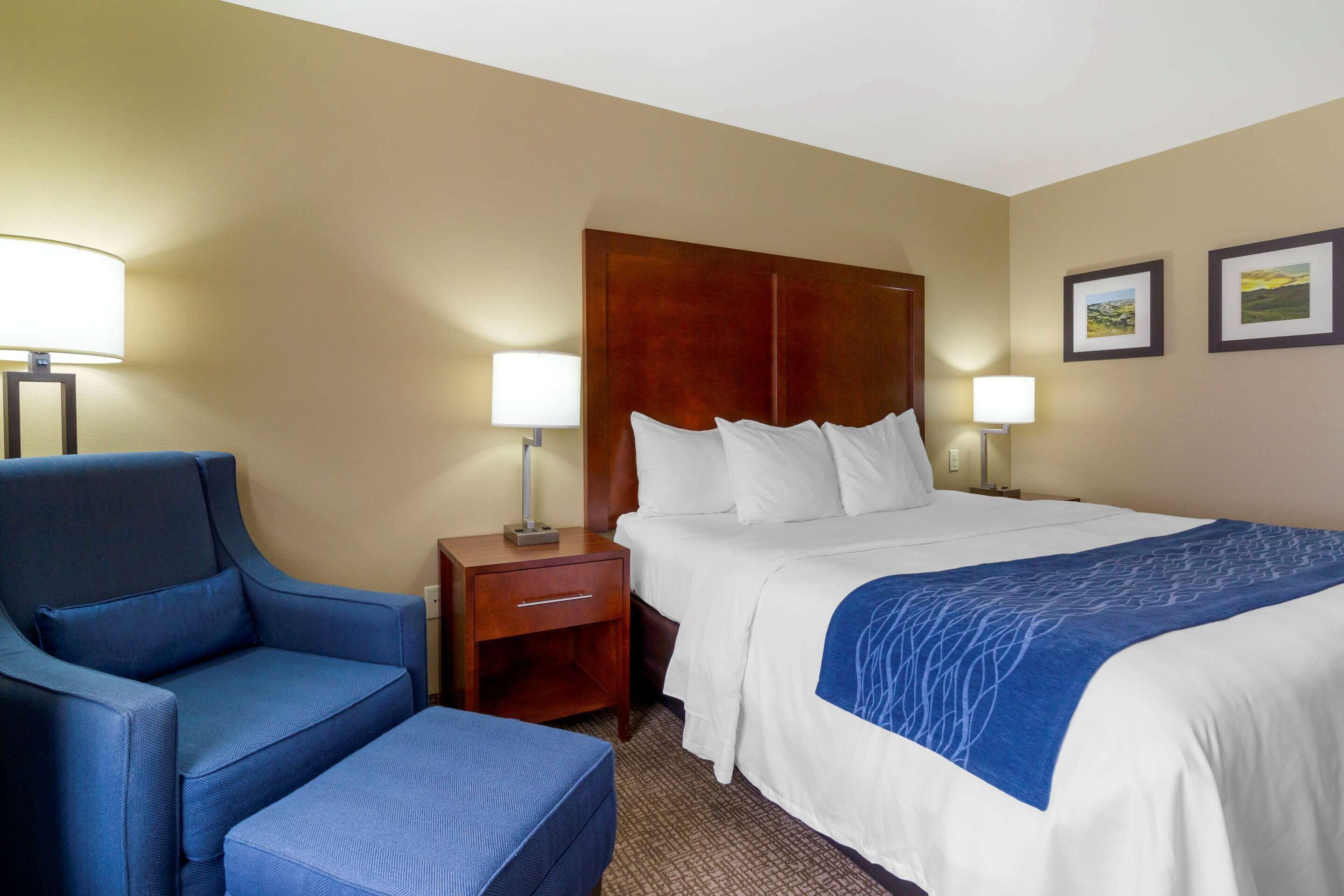 A hotel room with a bed, a blue armchair, a nightstand with a lamp, and two framed pictures on the wall.