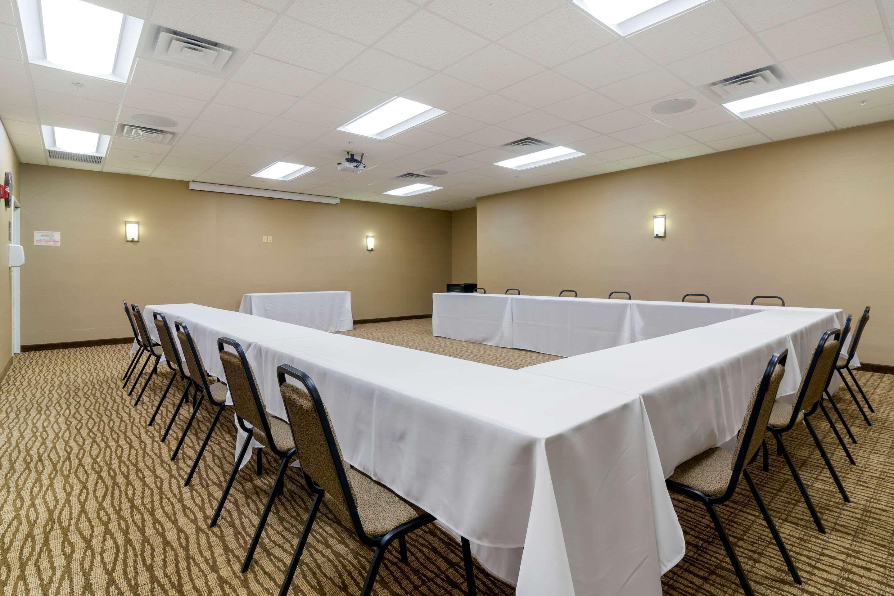 A conference room with a long table, chairs, carpeted floor, and ceiling lights.