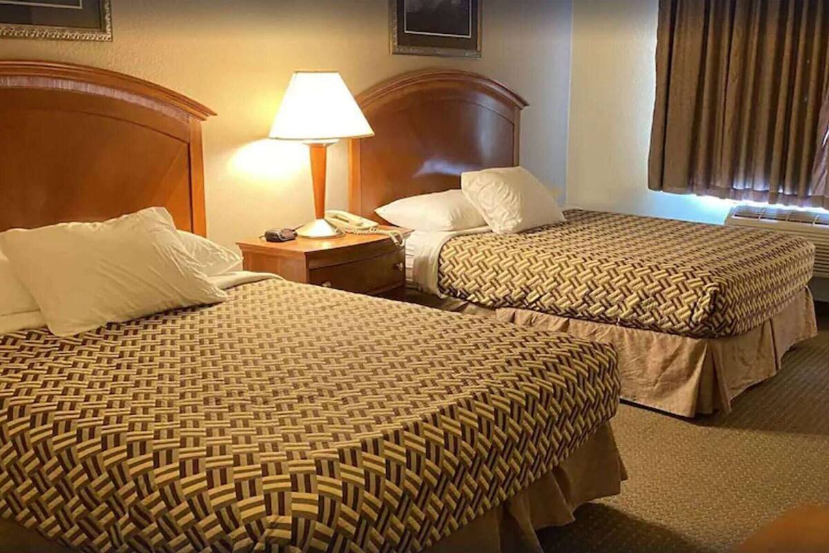 Two single beds with patterned bedding, a bedside lamp, a phone, and a window with curtains.
