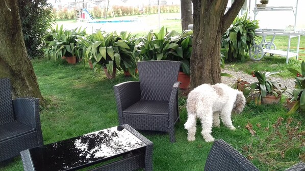 Un patio con mobiliario de mimbre, plantas en macetas y una piscina pequeña al fondo.