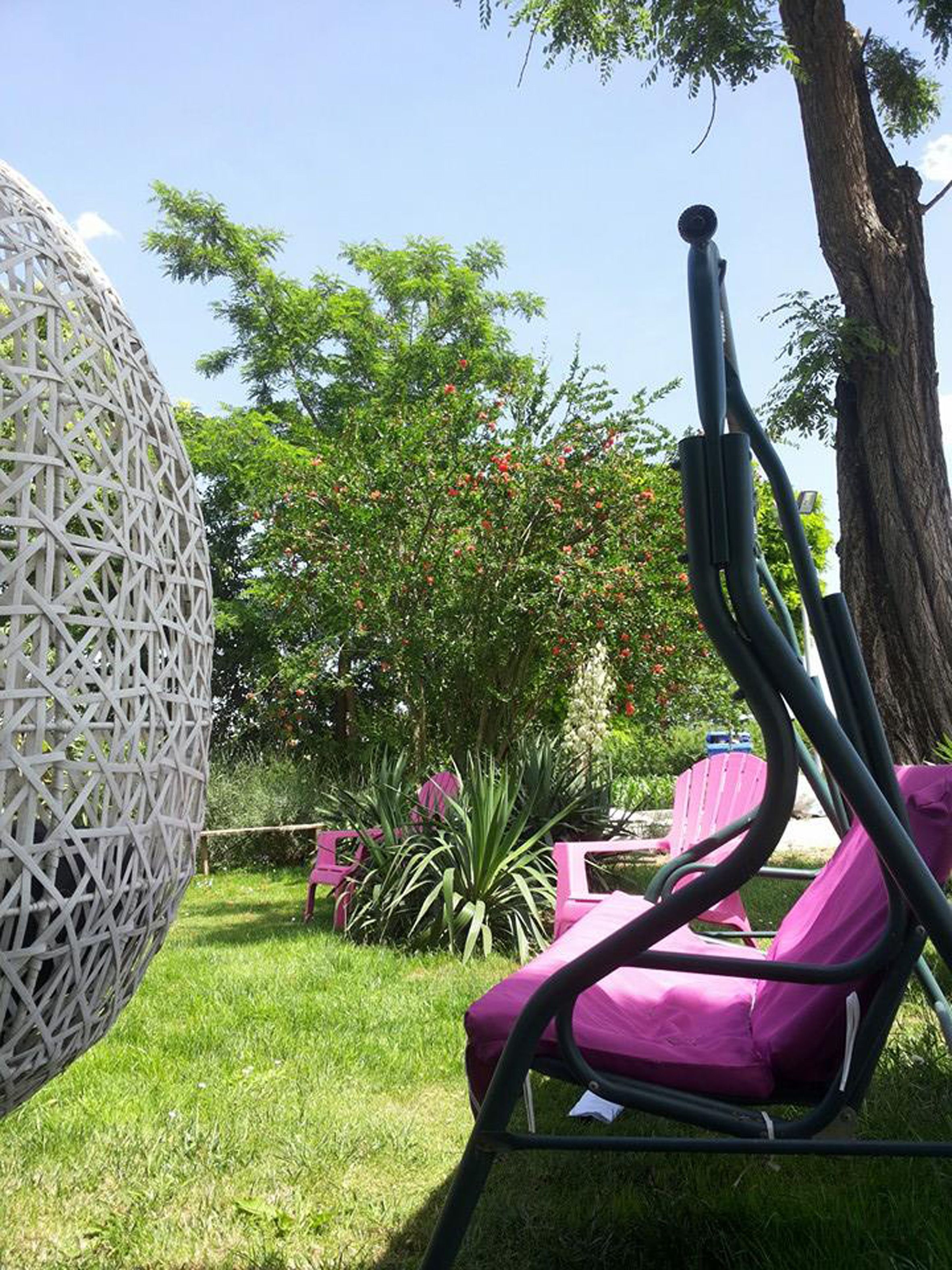 Un giardino con una struttura sferica in vimini, sedie rosa e un grande albero.