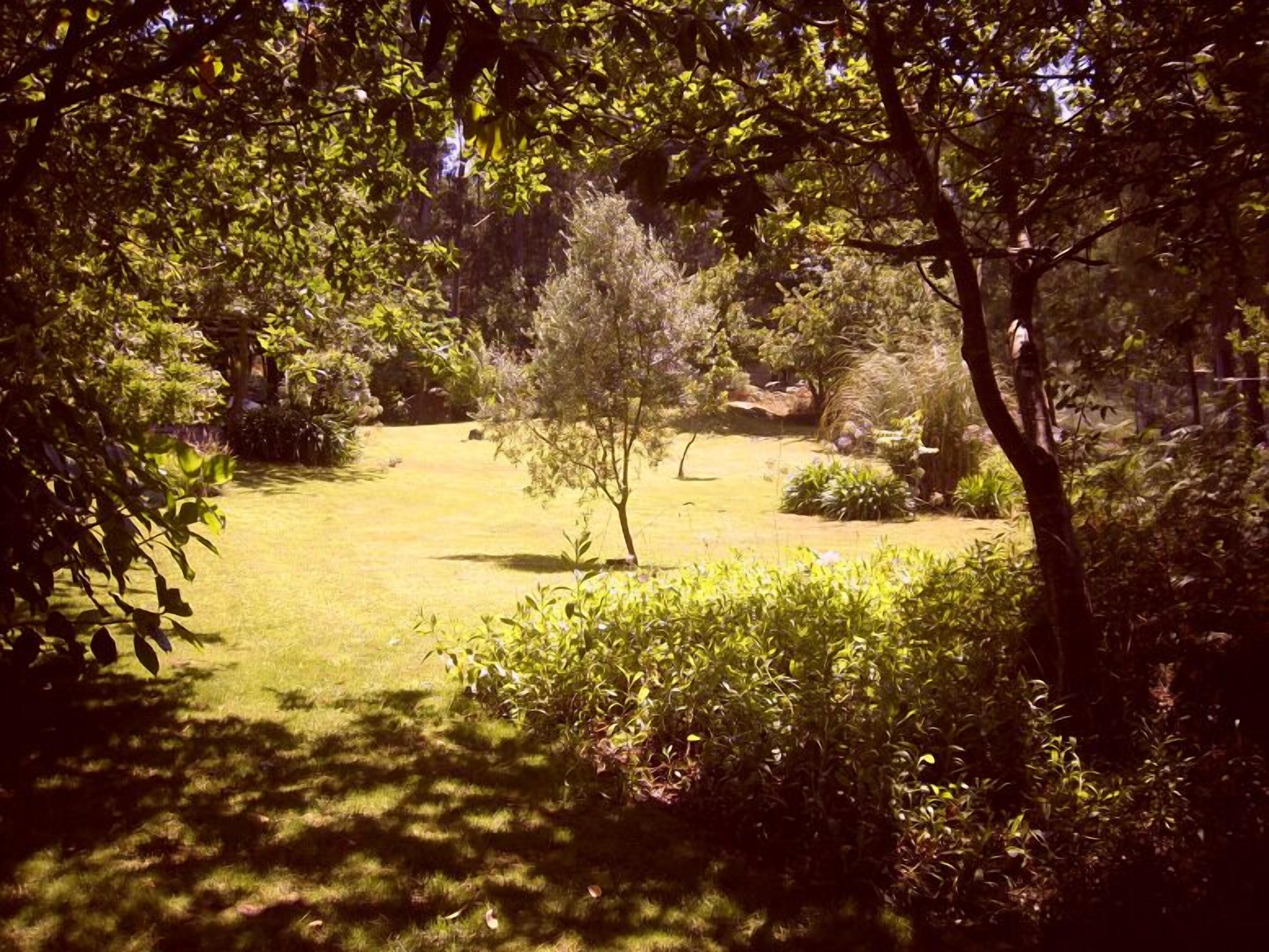A well-maintained garden with a variety of trees and shrubs, a grassy lawn, and a clear path.