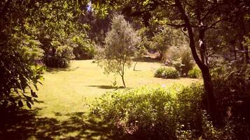 A well-maintained garden with a variety of trees and shrubs, a grassy lawn, and a clear path.