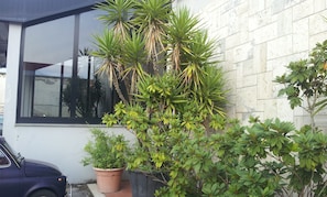 Exterior - Hotel Valentino (Sora)