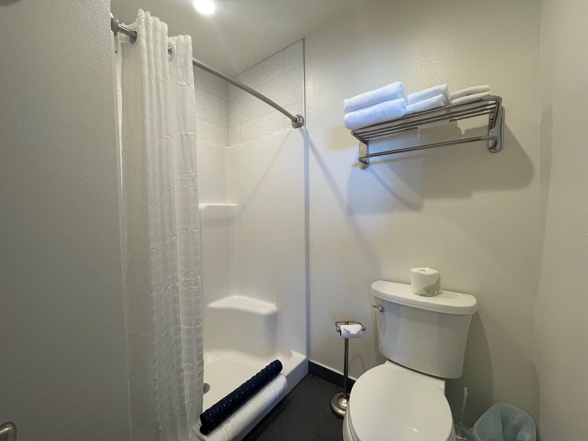 Baño con ducha, inodoro y perchero para toallas.