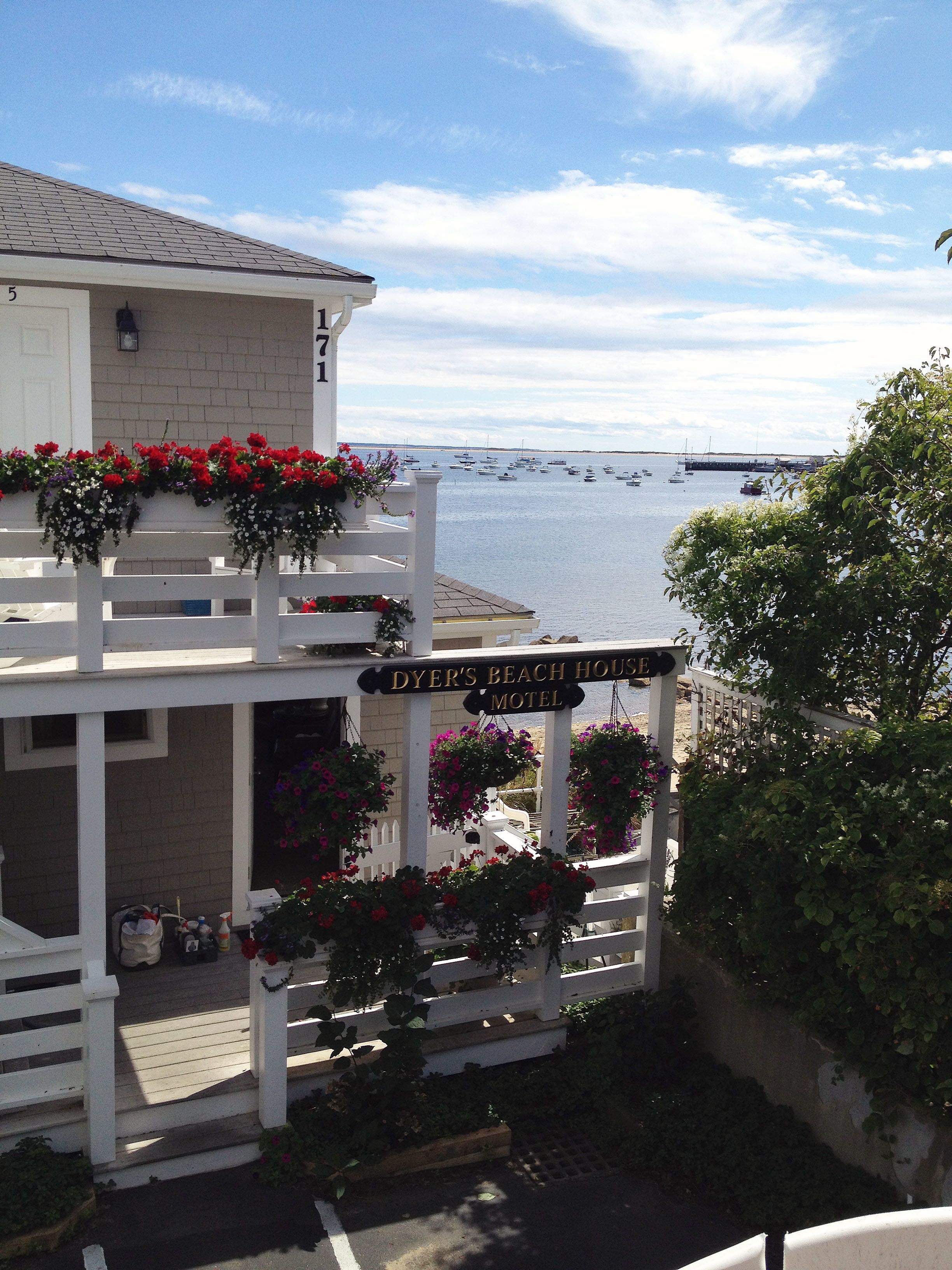 Vista desde la propiedad