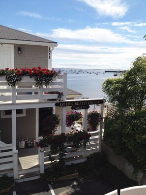 Vue depuis l’hébergement