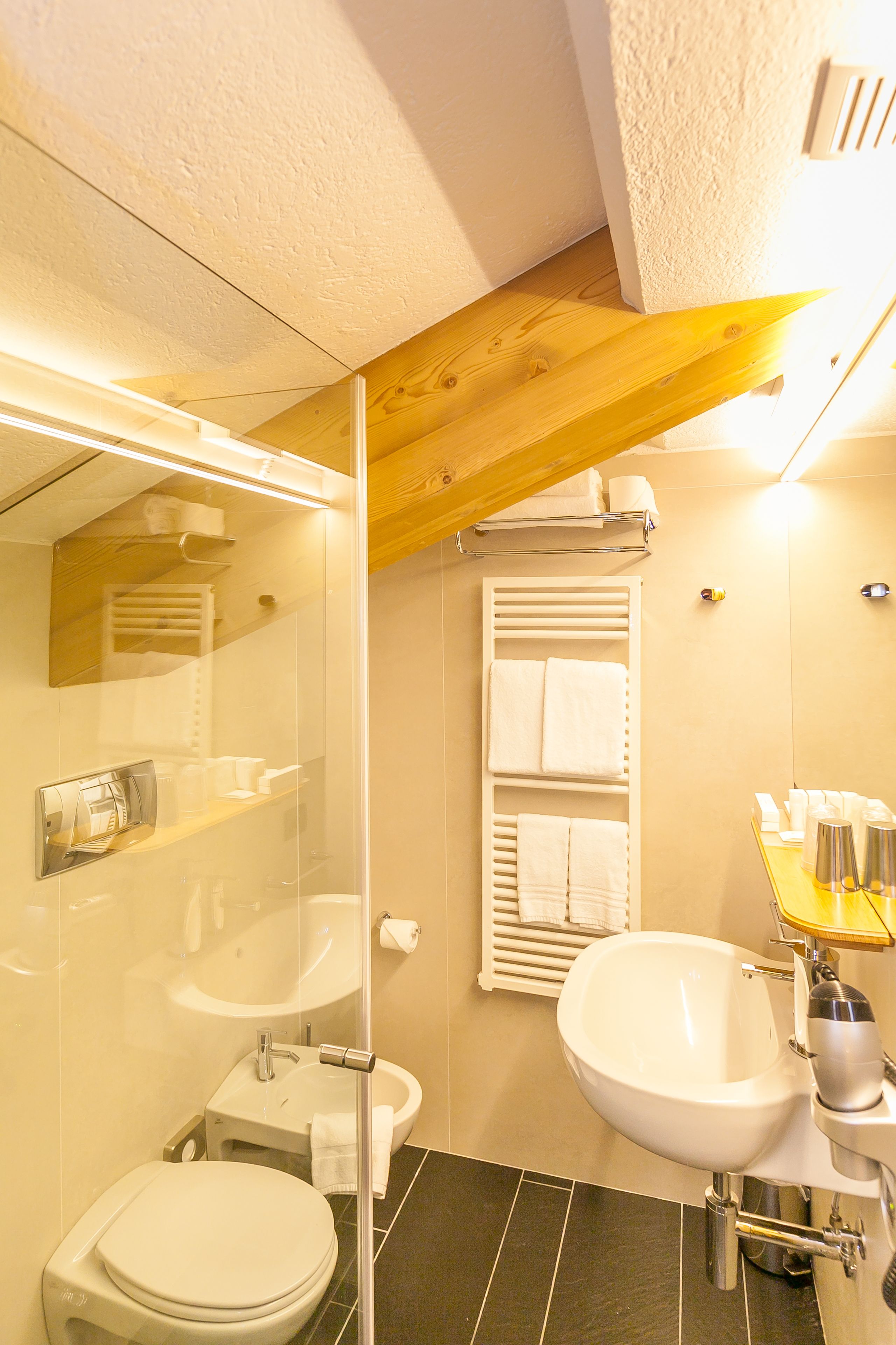 junior suite | bathroom | shower, free toiletries, hair dryer, bathrobes