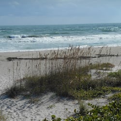 Enjoy a serene beach scene with a clear ocean view and lush vegetation.