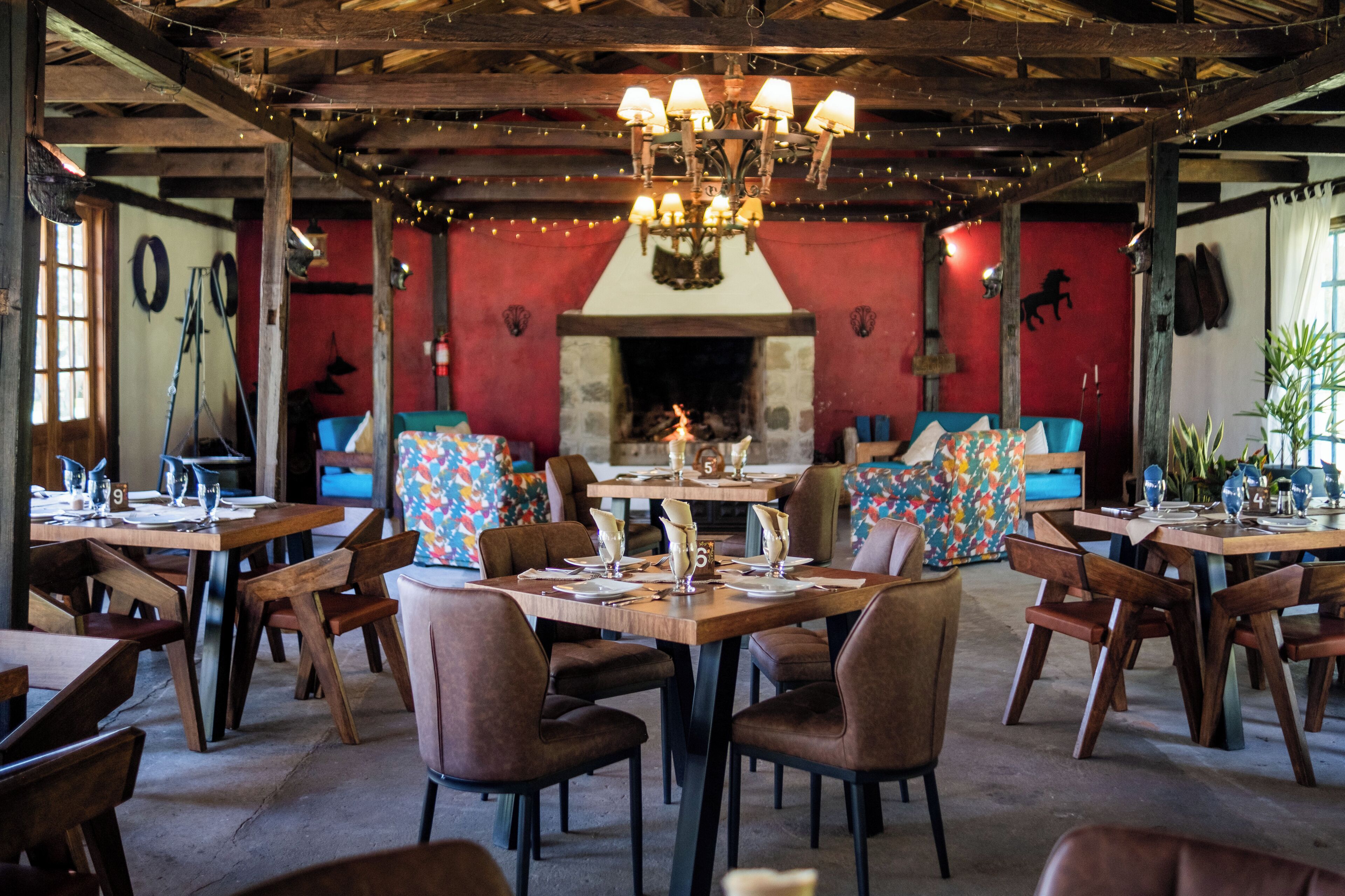 International cuisine