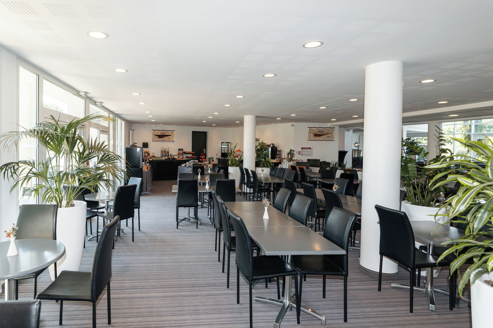 A spacious dining area with long tables and chairs, large windows, and potted plants.