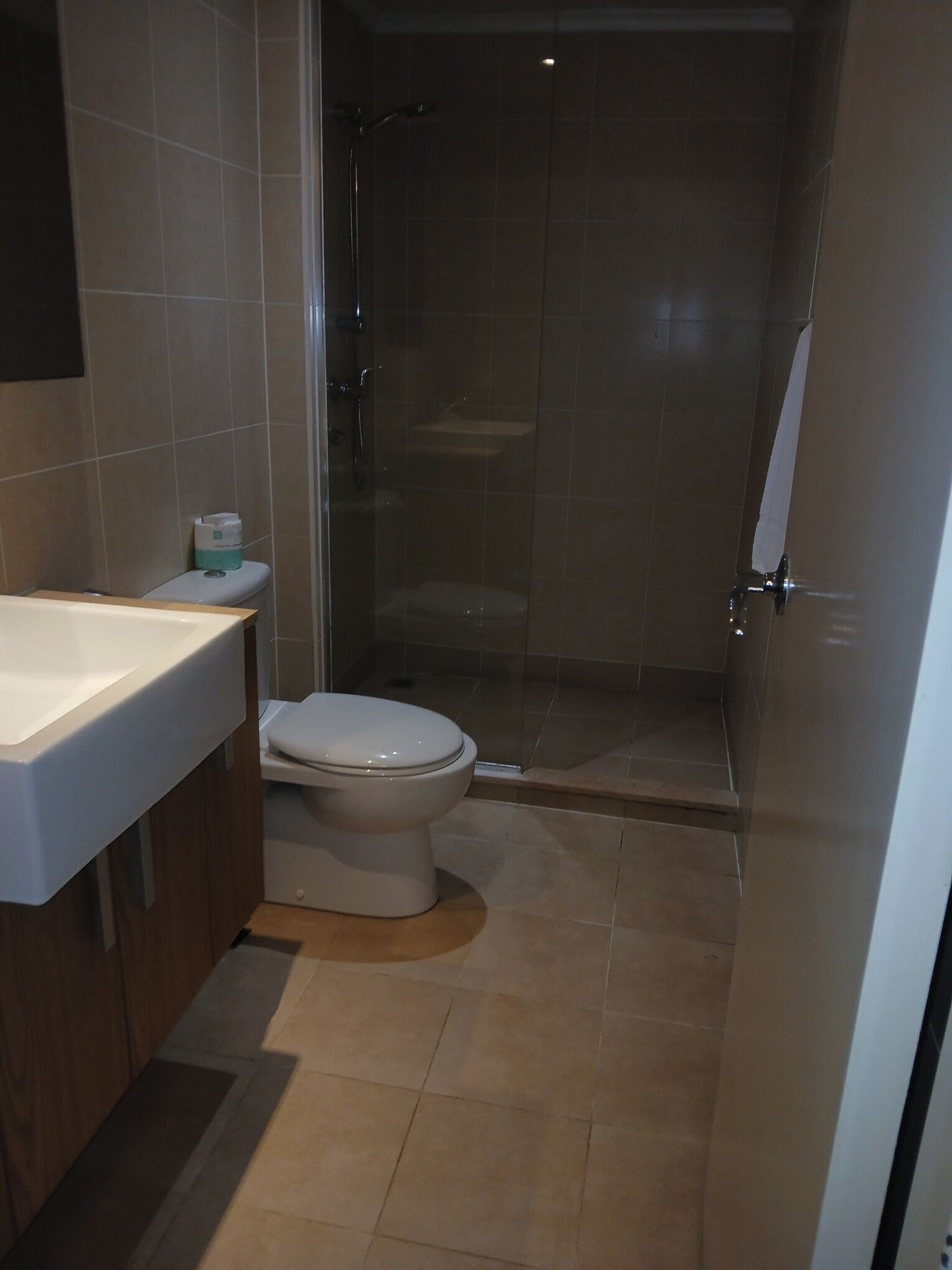 A bathroom with a toilet, a shower, and a sink.