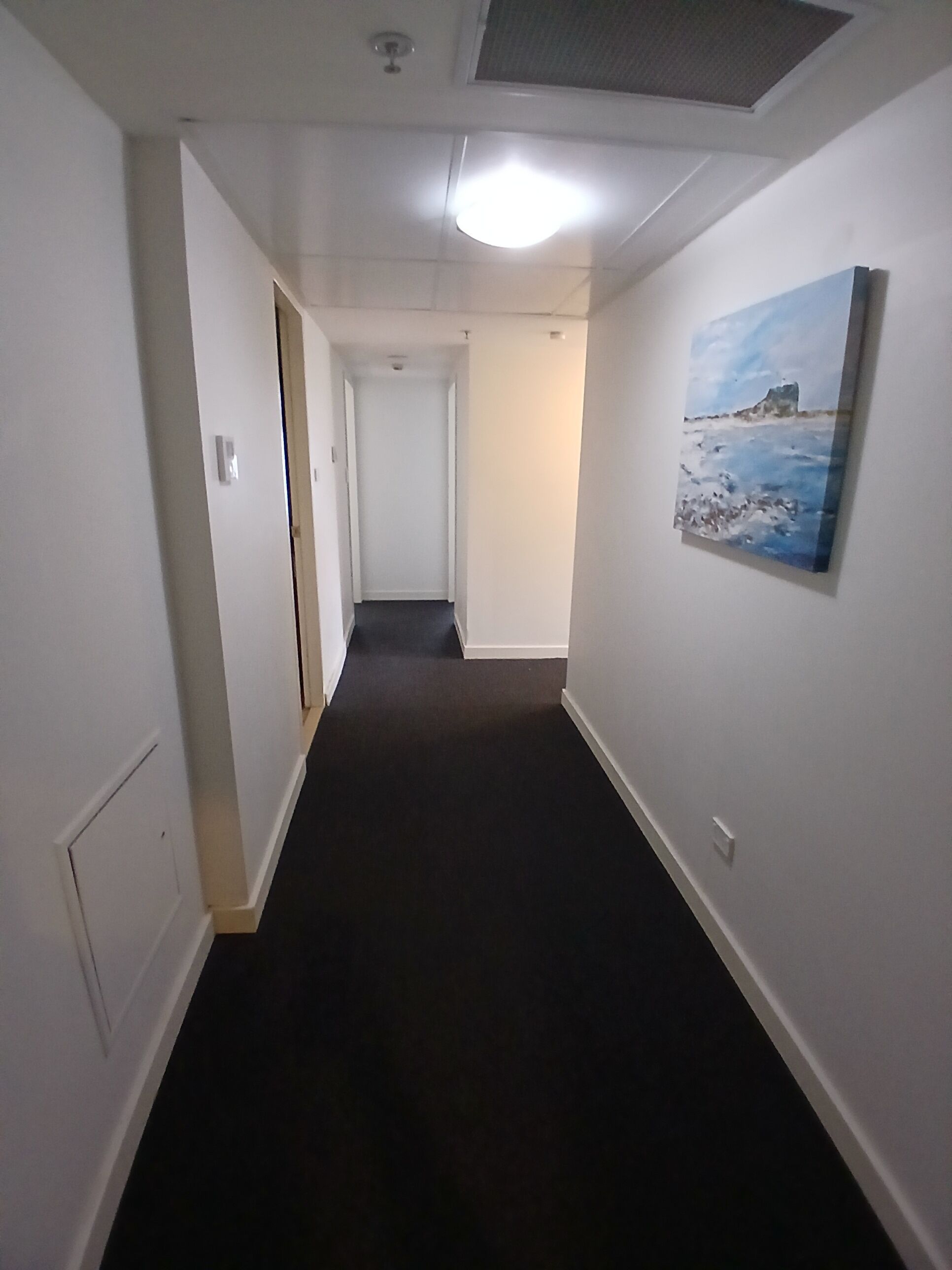 Un corridoio stretto con pareti bianche, un tappeto scuro e una luce a soffitto.