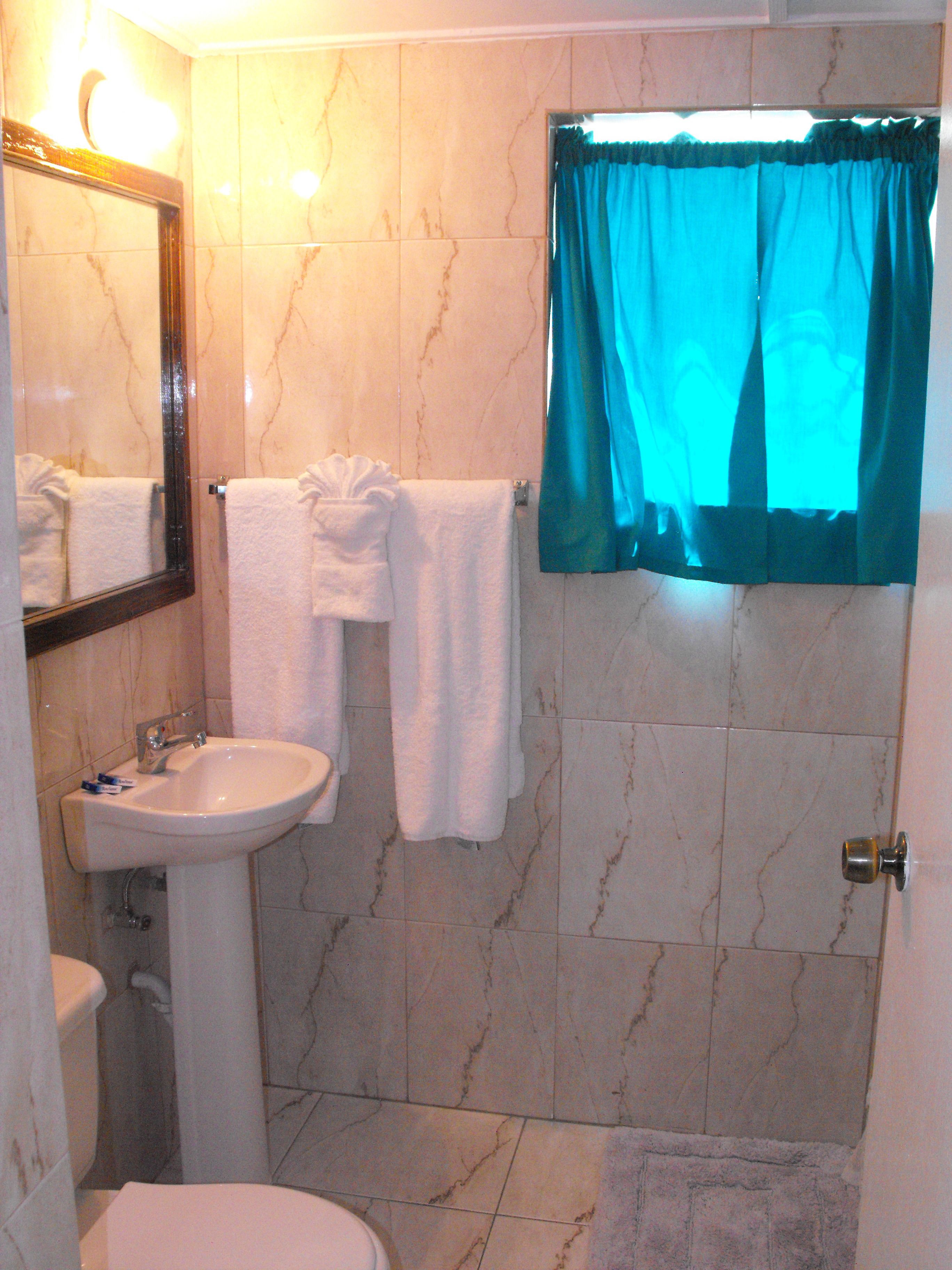 combined shower/bathtub, hair dryer, towels