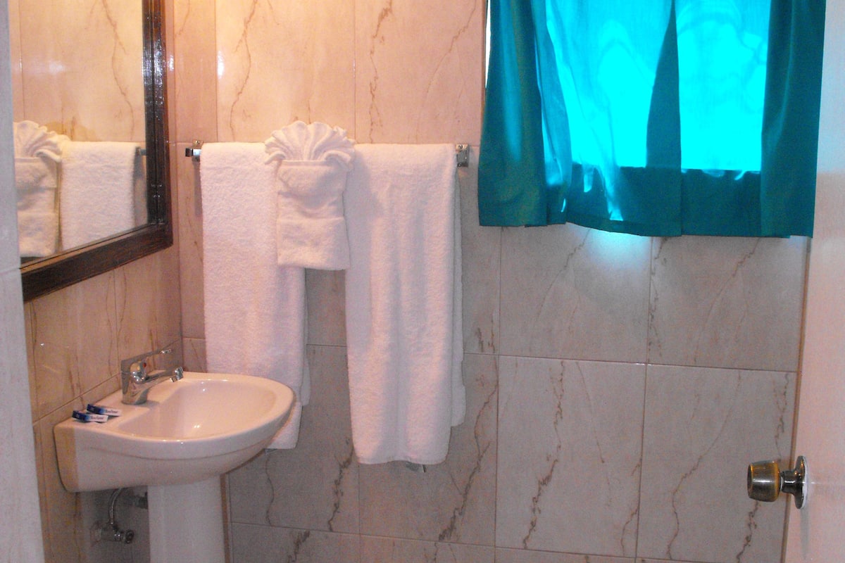 combined shower/bathtub, hair dryer, towels