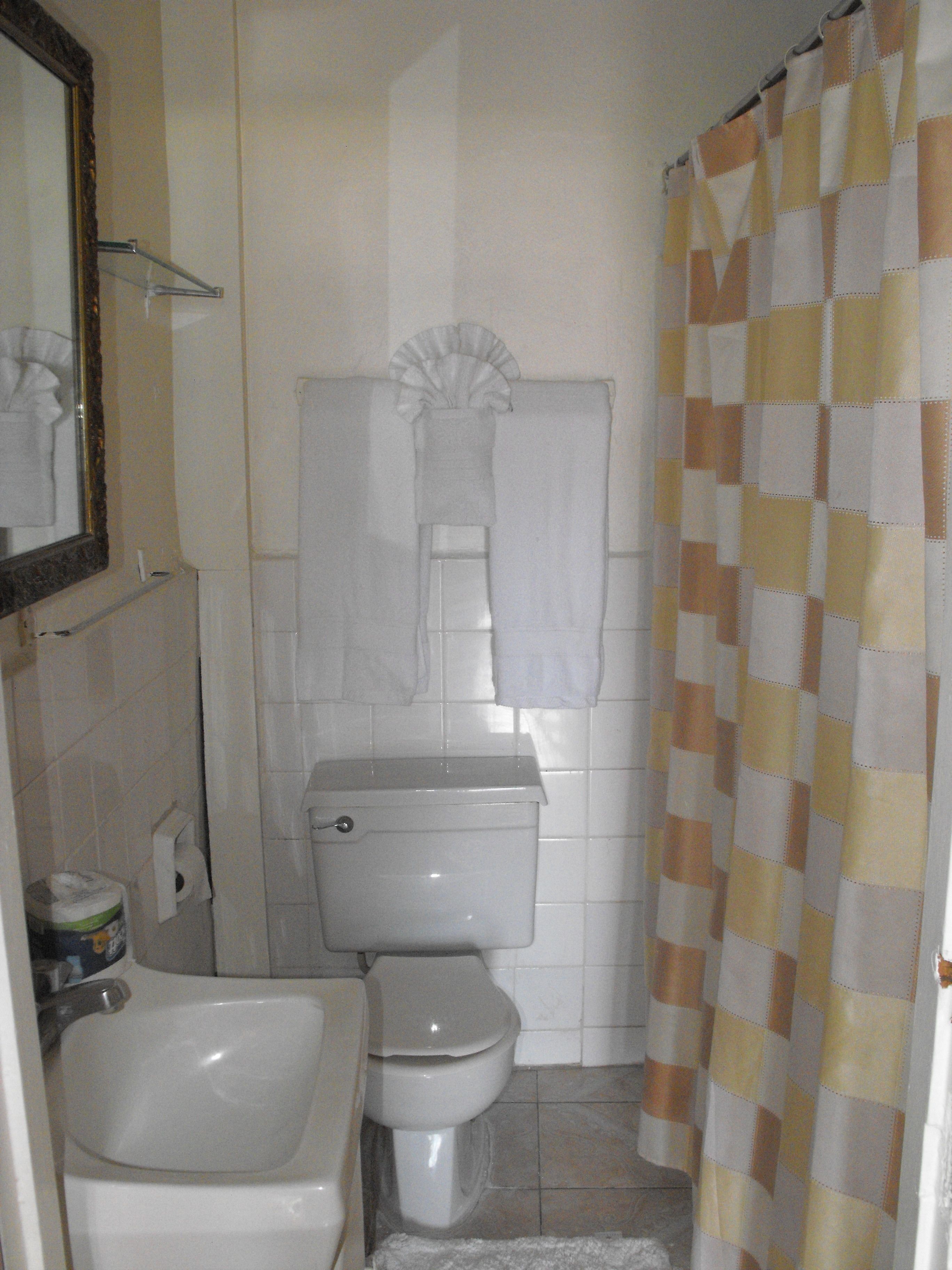 combined shower/bathtub, hair dryer, towels