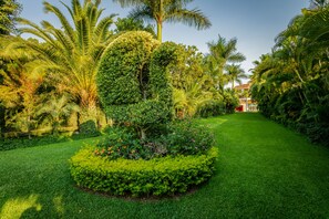 Stroll through the beautifully landscaped garden, surrounded by lush greenery and vibrant flowering plants.