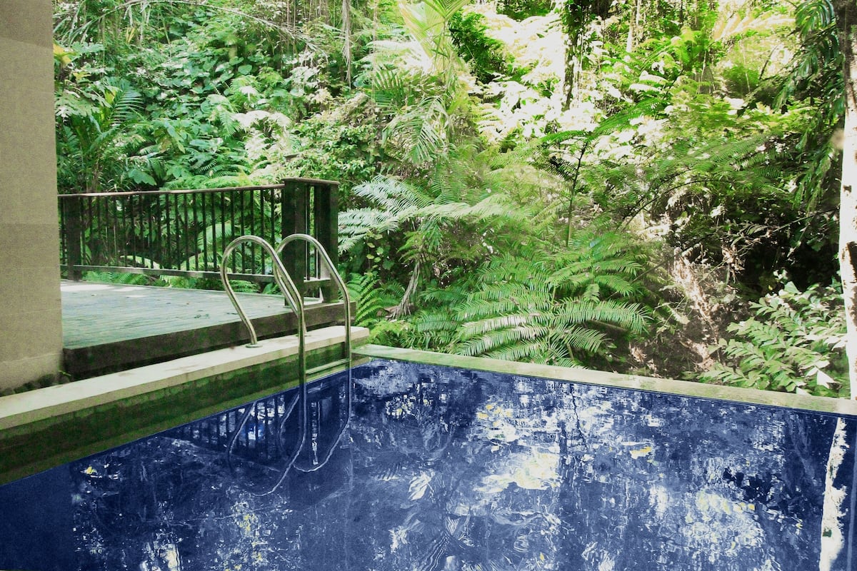 Une piscine avec un escalier en métal et une vue sur une végétation luxuriante.