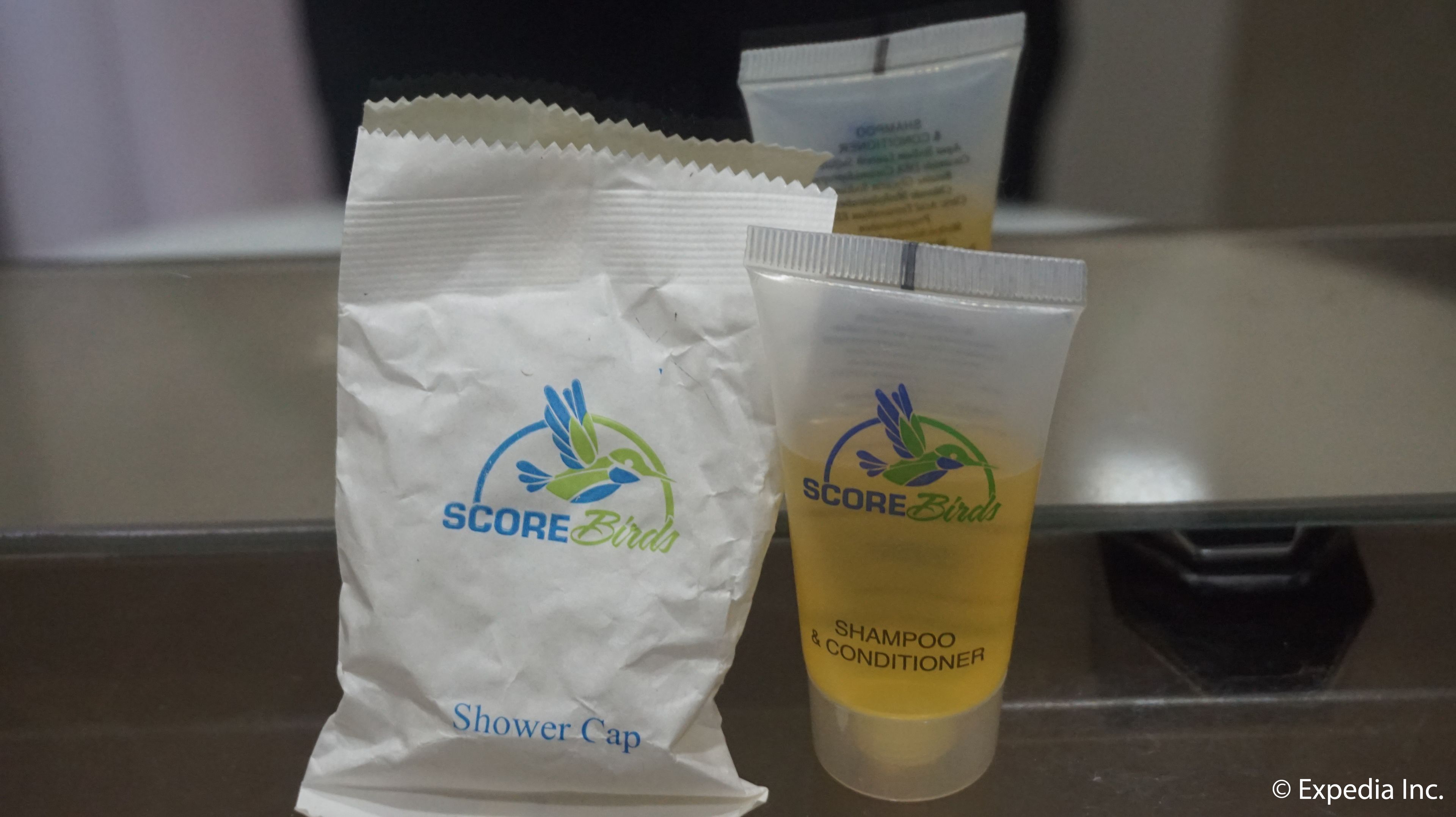 deluxe room | bathroom amenities | shower, free toiletries, hair dryer, towels