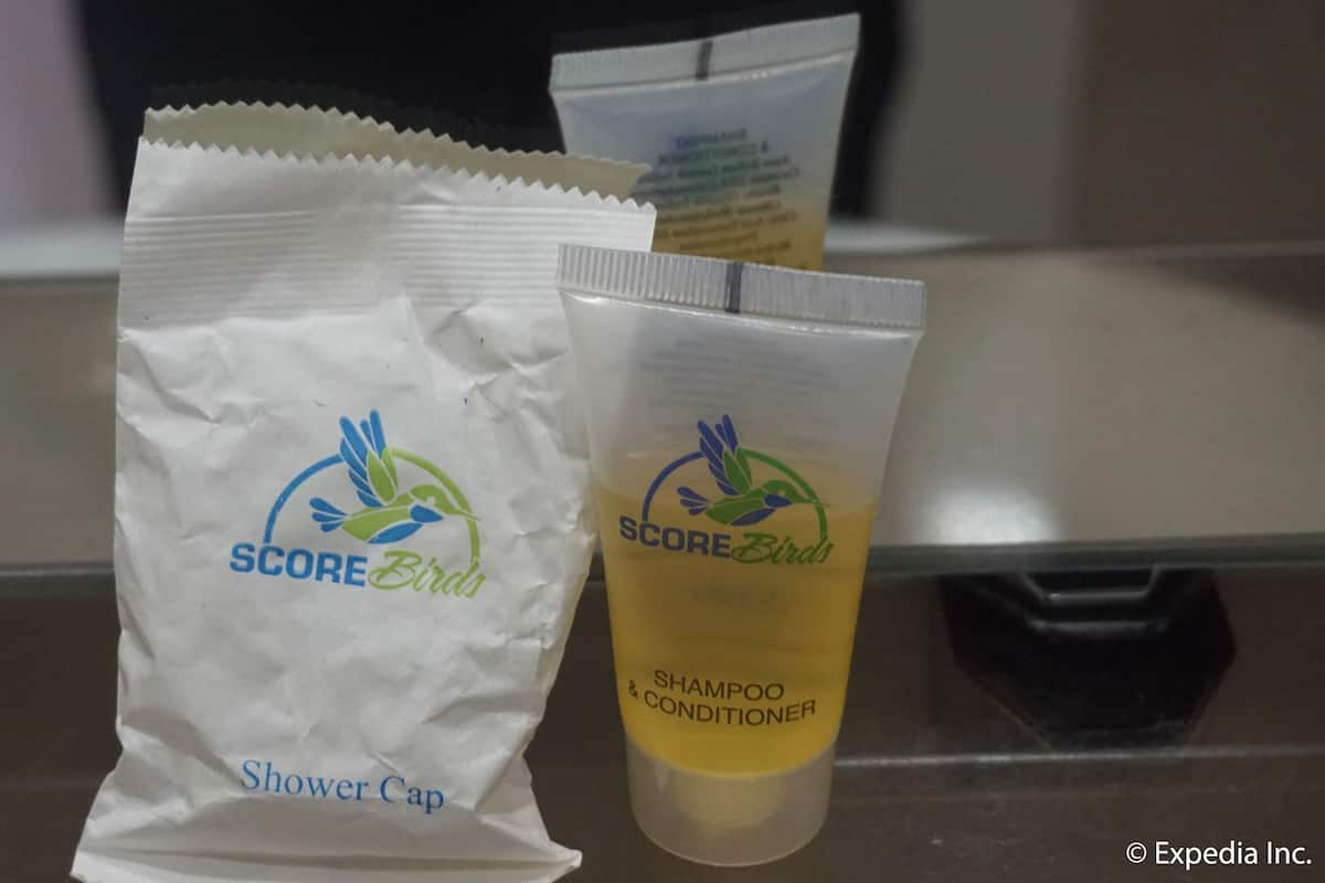 deluxe room | bathroom amenities | shower, free toiletries, hair dryer, towels