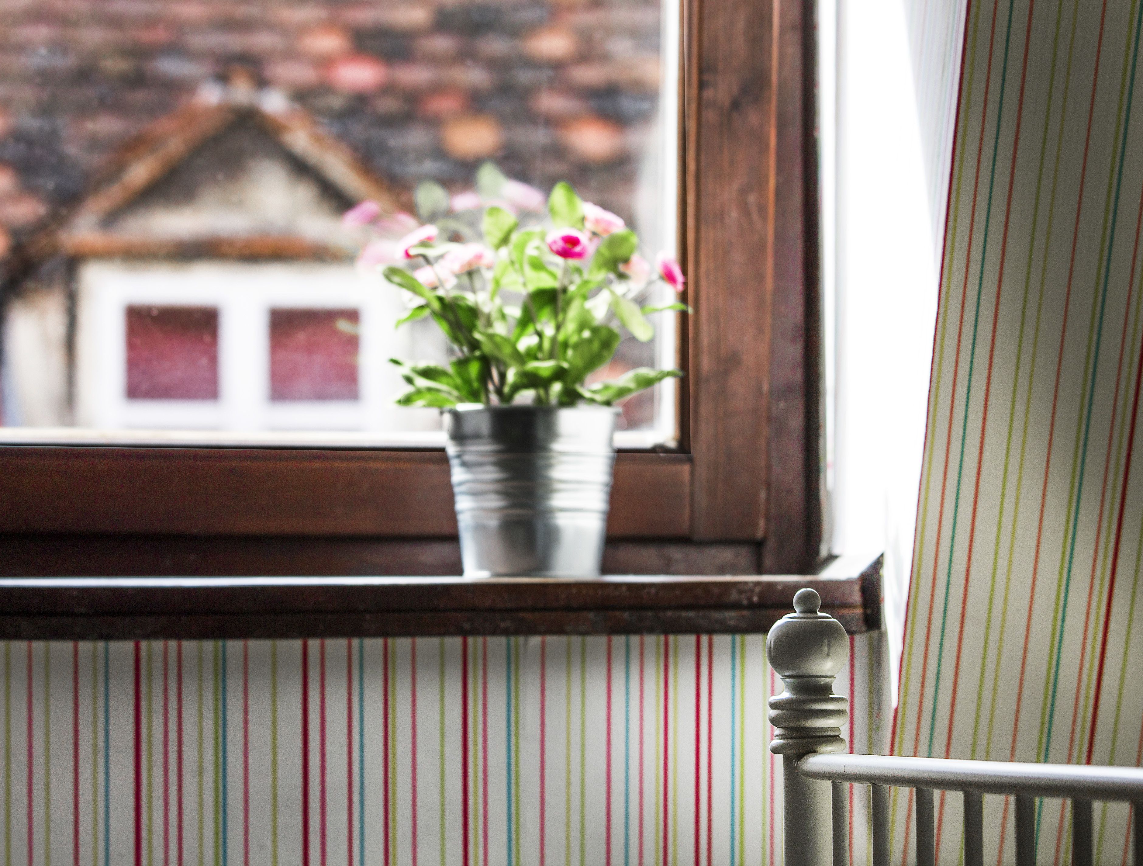 Photo - Hostel Centar