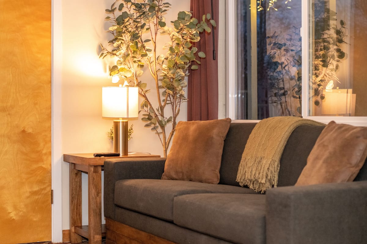 A cozy living room with a grey sofa, a wooden side table with a lamp, and a large plant.