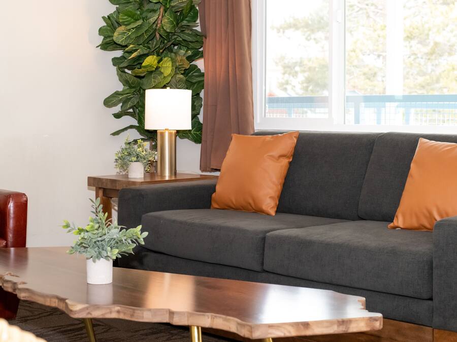 Dobbeltrom | Oppholdsområde | En 36-tommers TV med kabel-kanaler samt DVD-spiller og bøker