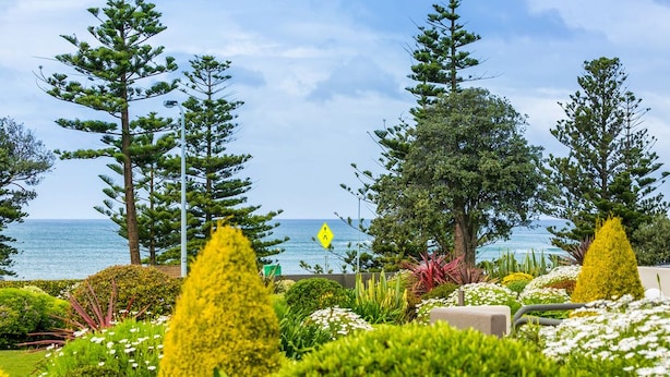 Un jardín ajardinado con varios árboles y arbustos, cielo despejado y vista al mar.