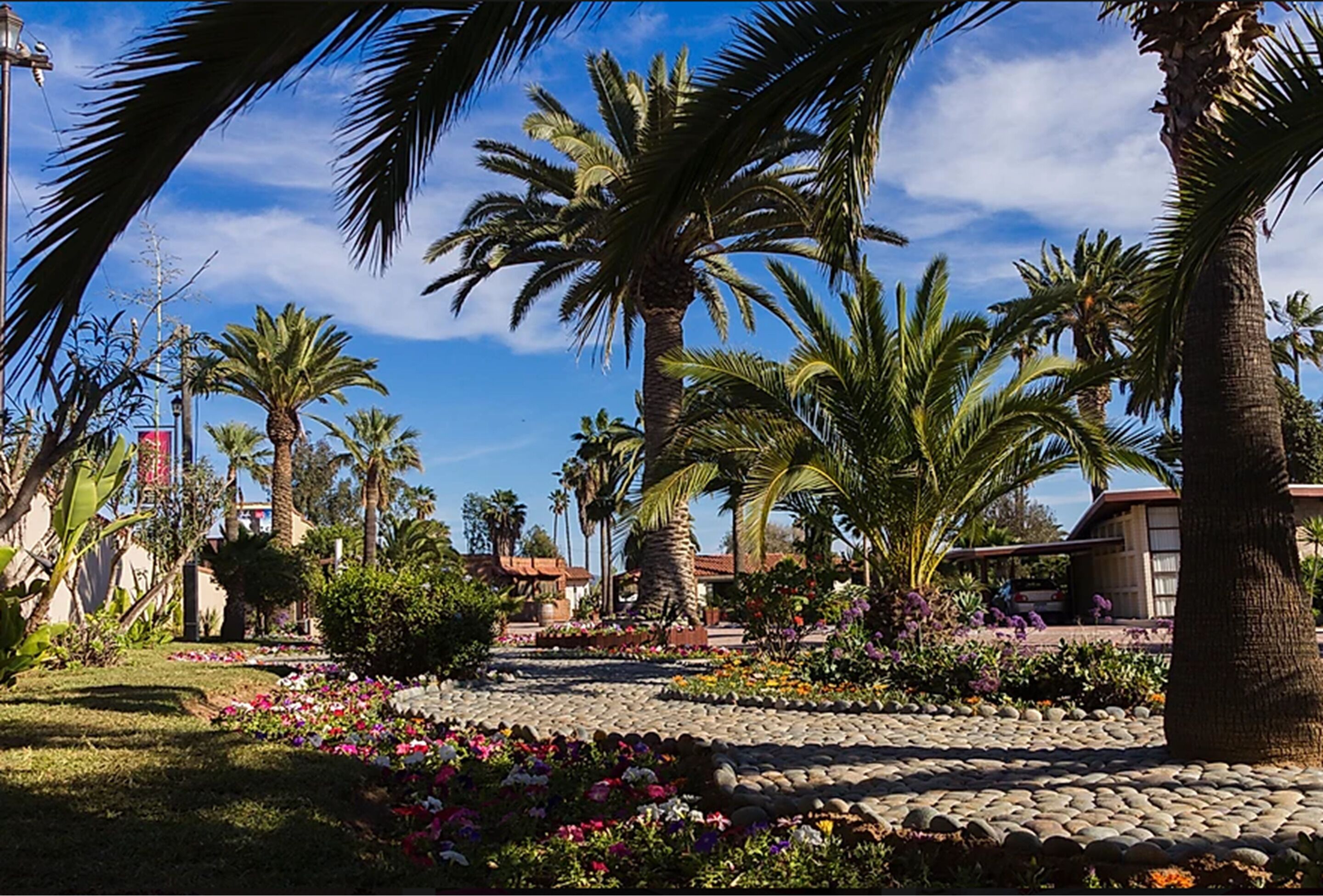 Foto - Hotel Quintas Papagayo