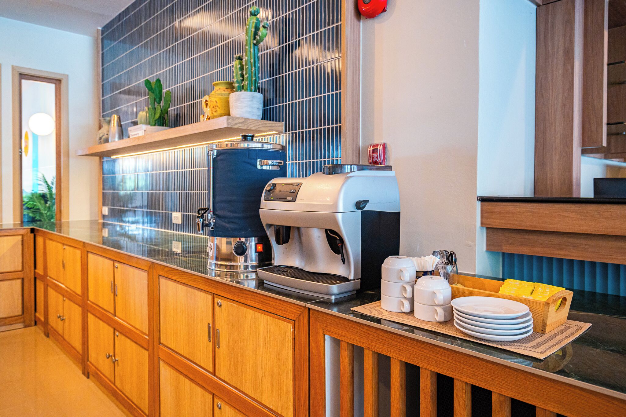 A modern kitchen with a coffee machine, a cactus, and a wooden cabinet.