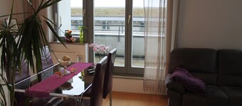 BS Business Travelling