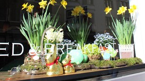 Una vitrina decorada con narcisos y adornos de Pascua.