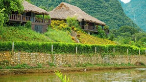 Una casa rústica con techo de paja, pared de piedra y jardín con diversas plantas y flores.