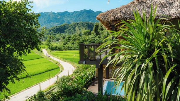 Una casa con techo de paja, piscina y campos verdes exuberantes al fondo.
