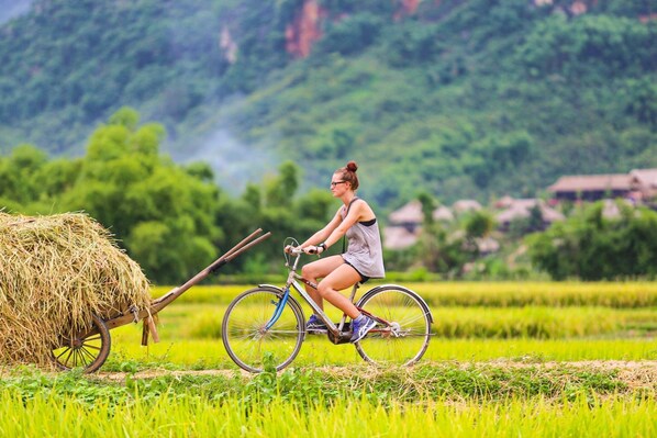 Una persona montando en bicicleta por un campo con un carro de heno.