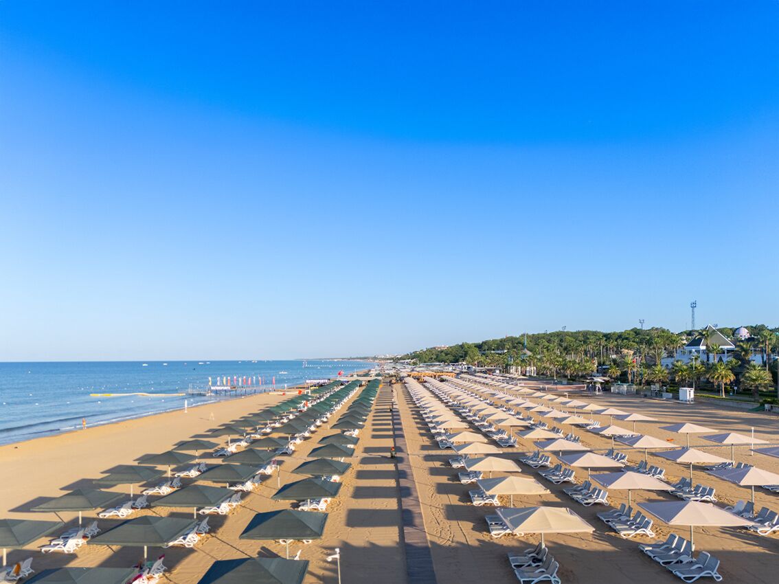 Een strand met rijen ligbedden en parasols, een heldere lucht en een verre zichten op de zee.
