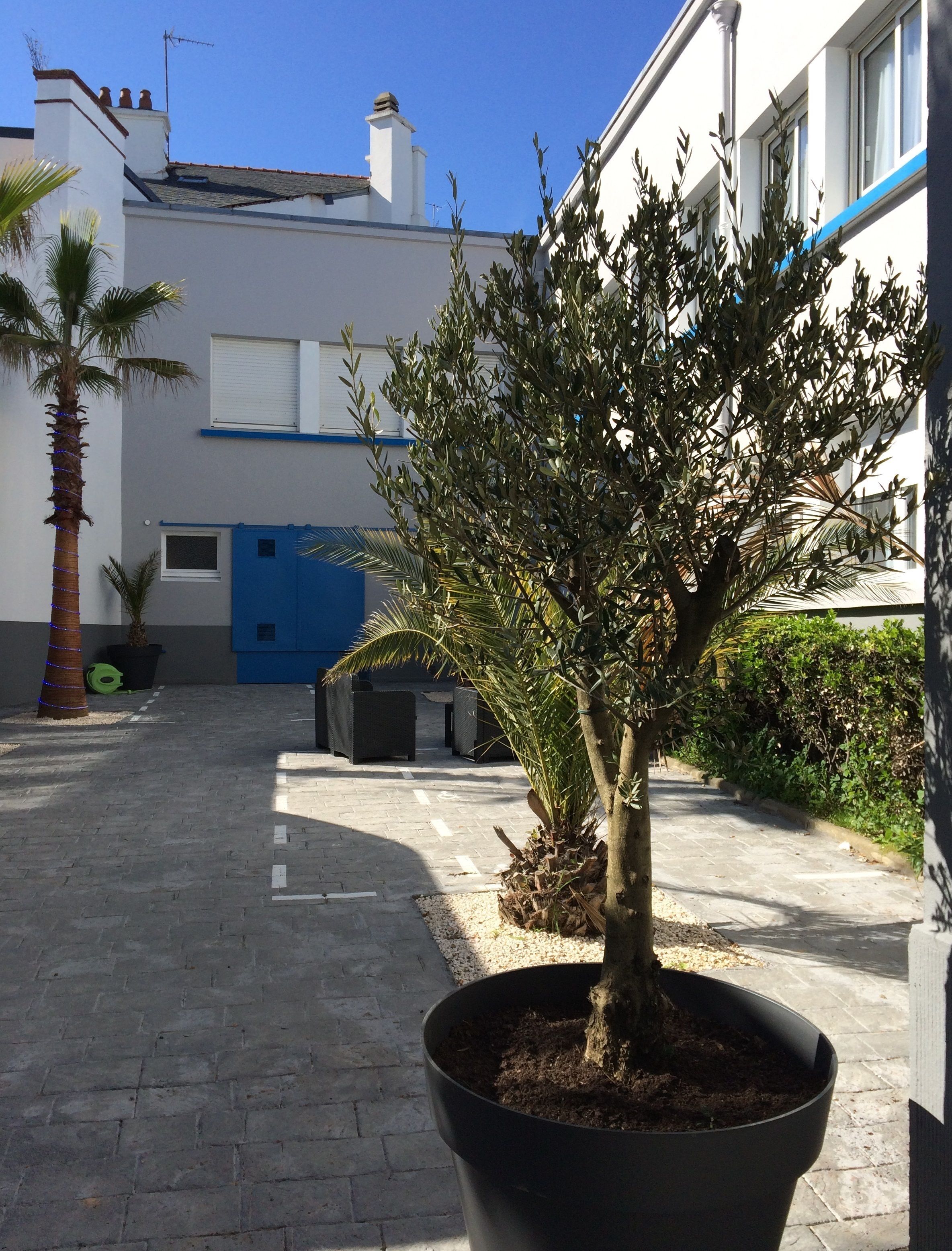 Aparcament gratuït a prop 