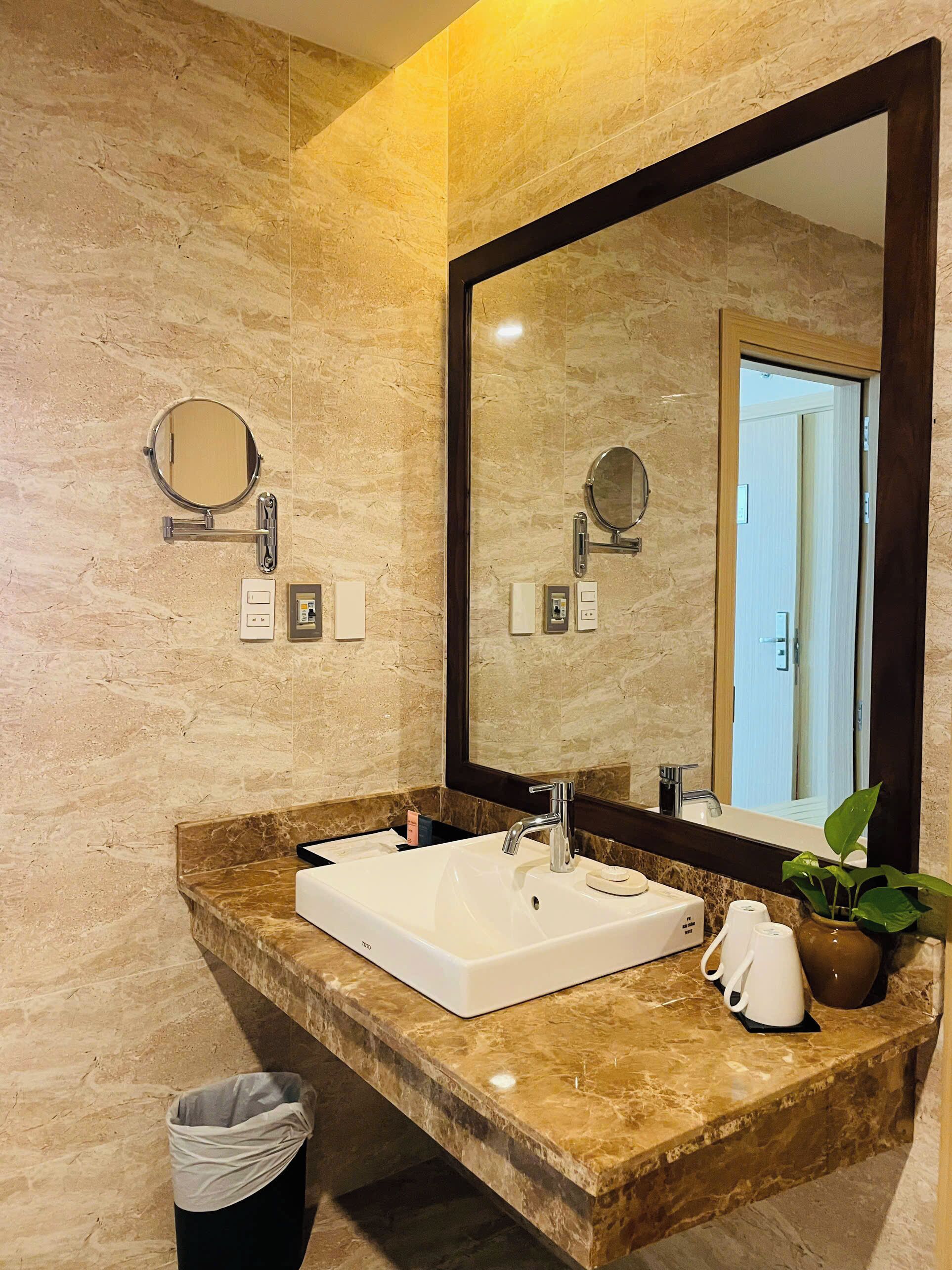 Une salle de bain avec un lavabo en marbre, un grand miroir et une plante en pot.