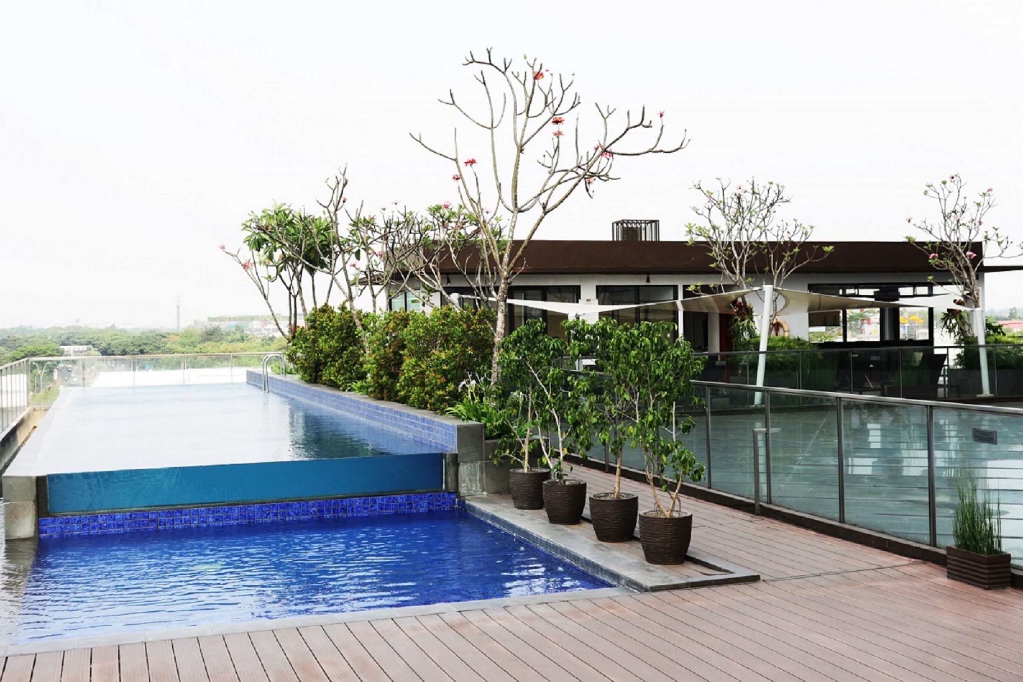 outdoor pool, pool loungers