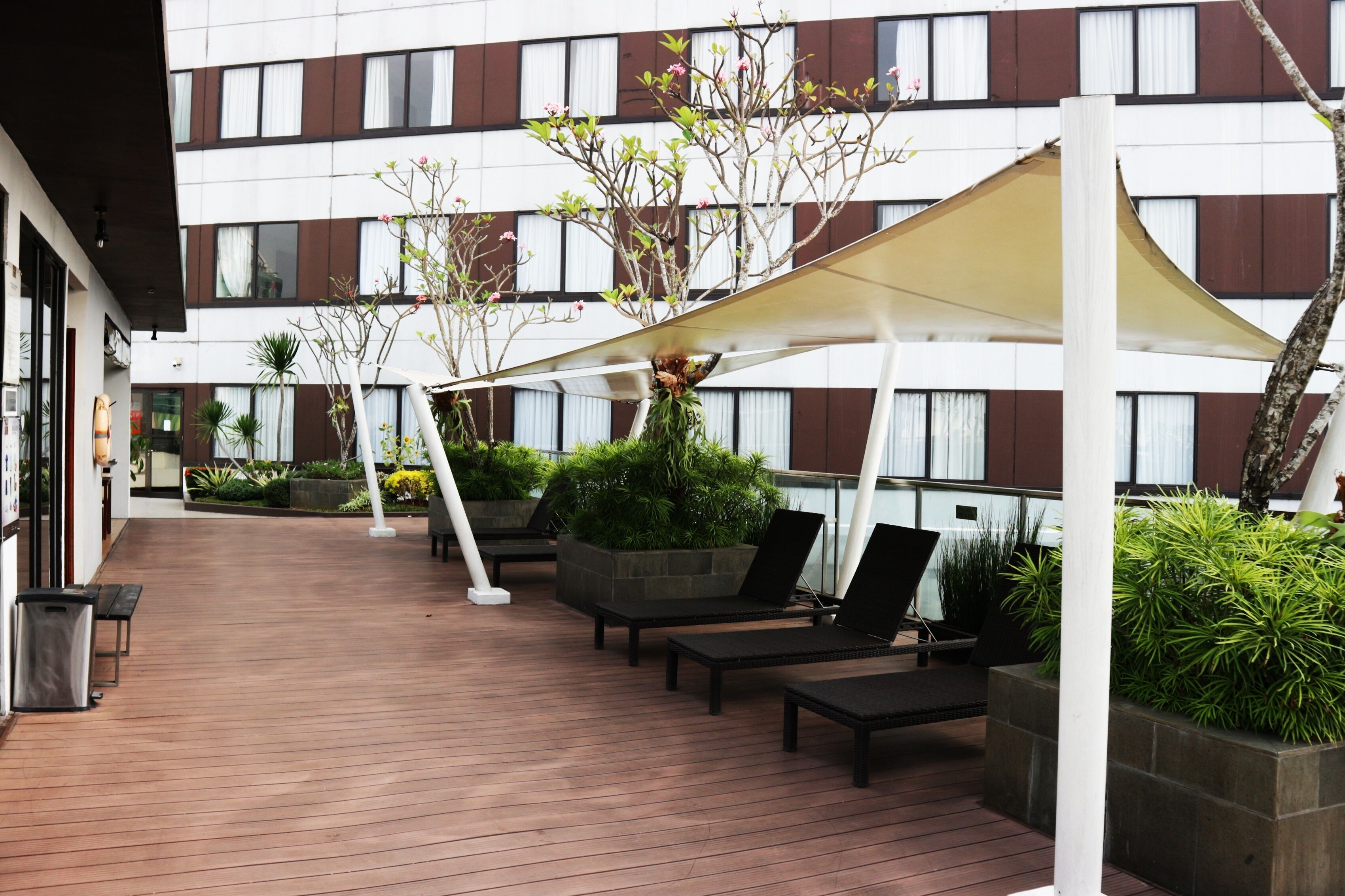 outdoor pool, pool loungers