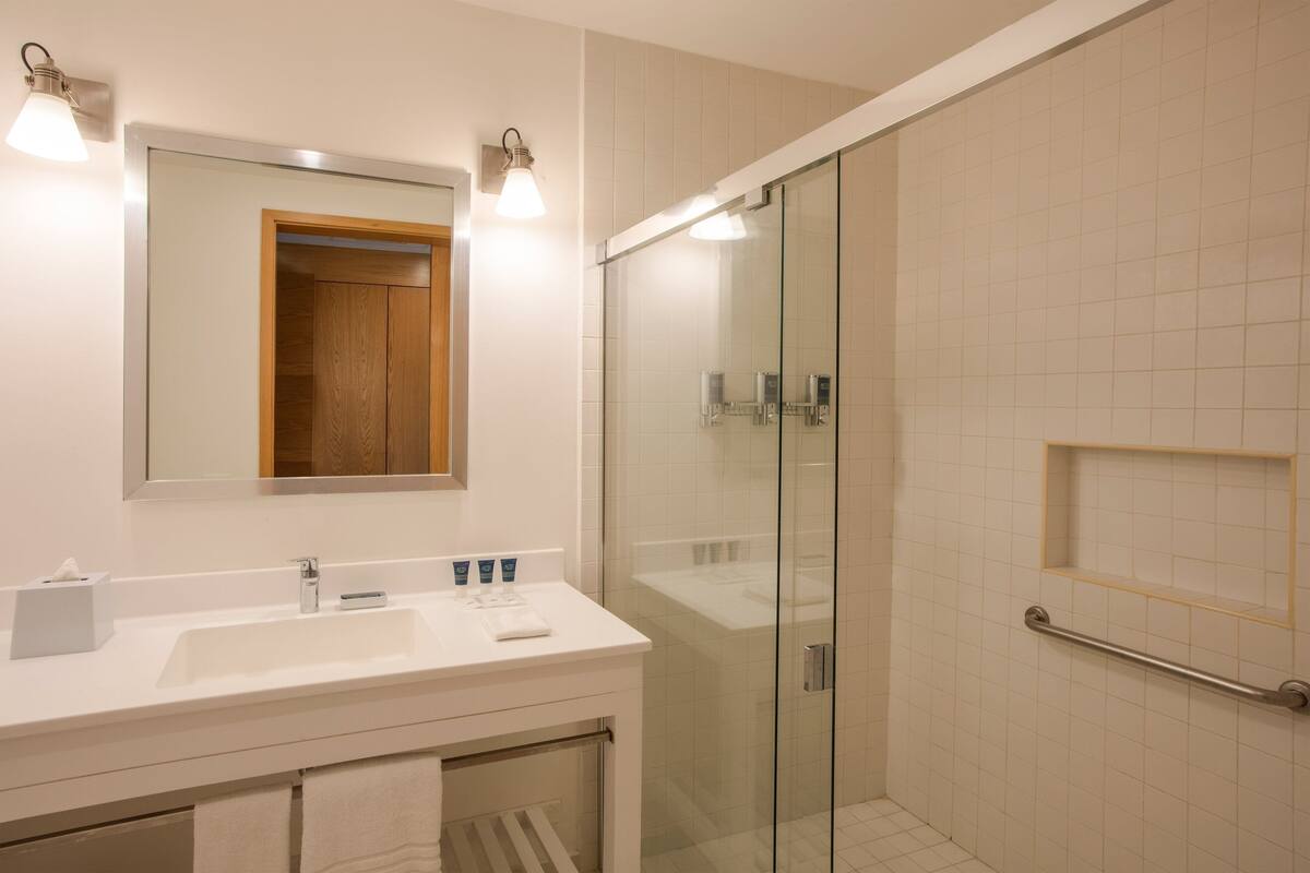 shower, free toiletries, hair dryer, towels