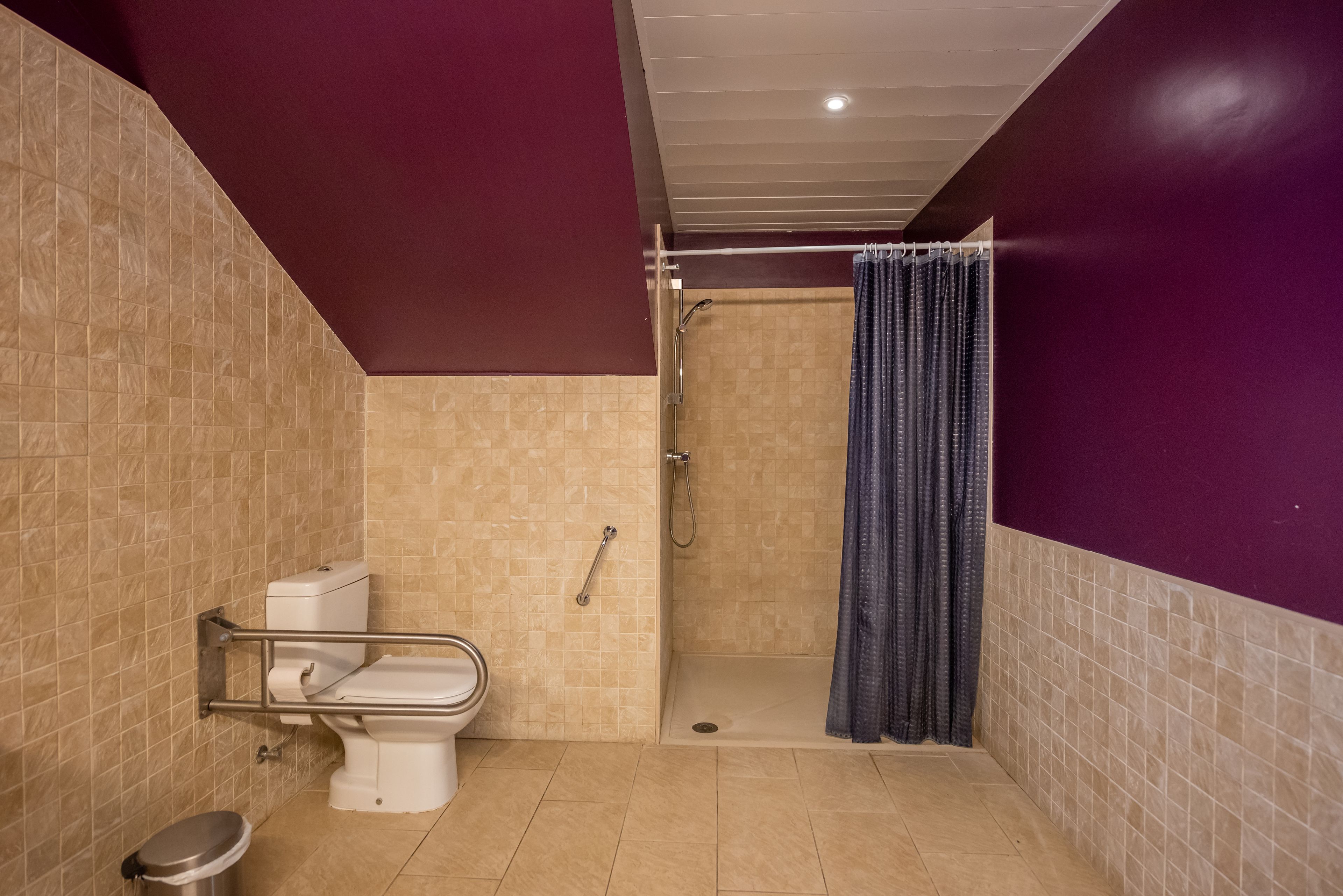 A bathroom with a toilet, shower, and grab bar.