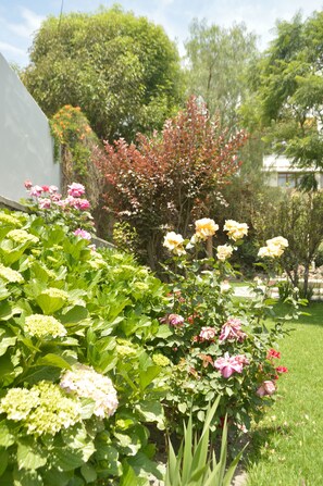 Jardim